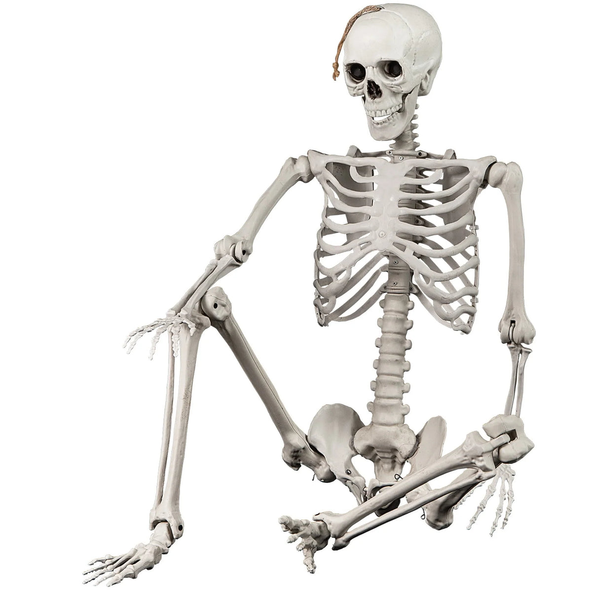 Costway 5.4 FT Halloween Skeleton Decoration Life Size Large Skeleton with Posable Joints 64.5 Inches Ivory White
