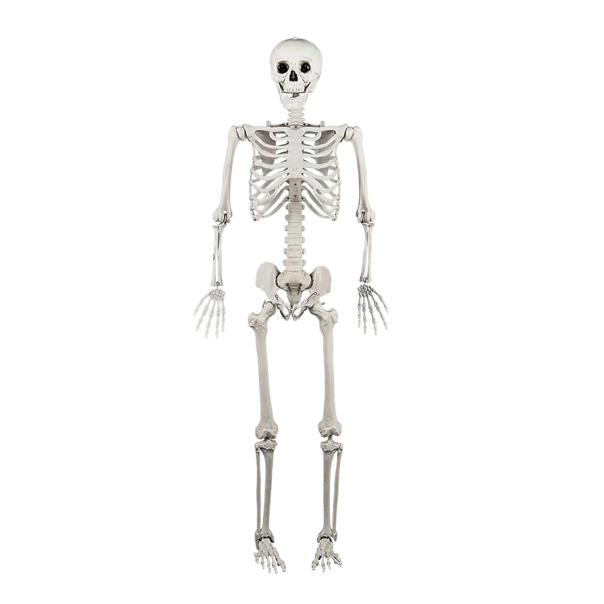 Costway 5.4 FT Halloween Skeleton Decoration Life Size Large Skeleton with Posable Joints 64.5 Inches Ivory White