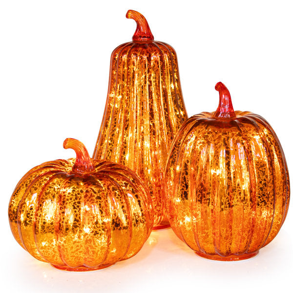 Halloween and Thanksgiving Lighted Pumpkin Decorative Accent