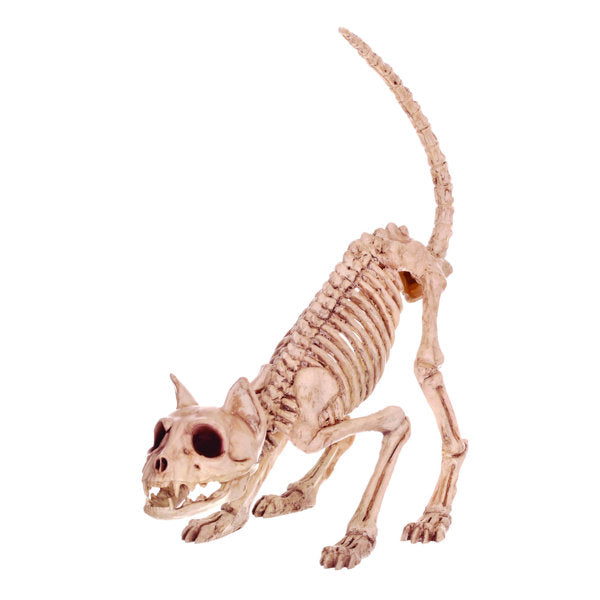 Kamber Plastic Halloween Skeletons Outdoor Decoration Figure