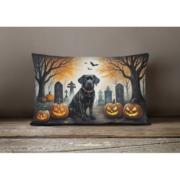 Outdoor Throw Pillow