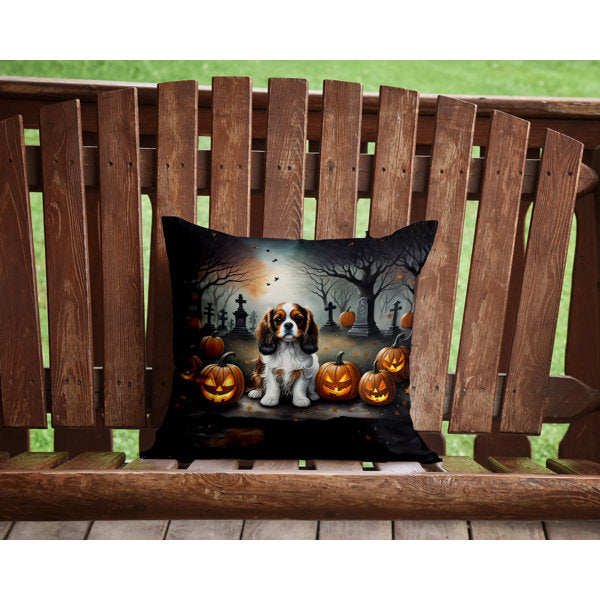 Outdoor Throw Pillow