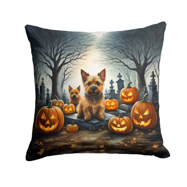 Outdoor Throw Pillow