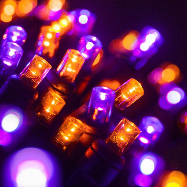 2 " Indoor / Outdoor String Lights
