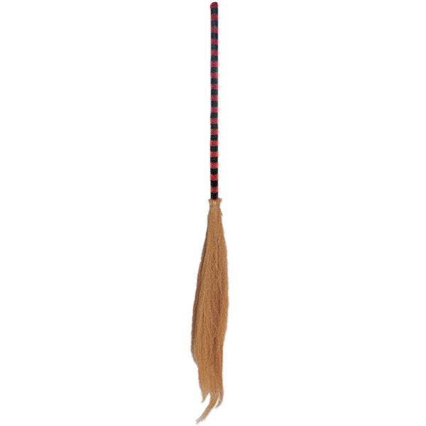 Halloween Witch's Broom