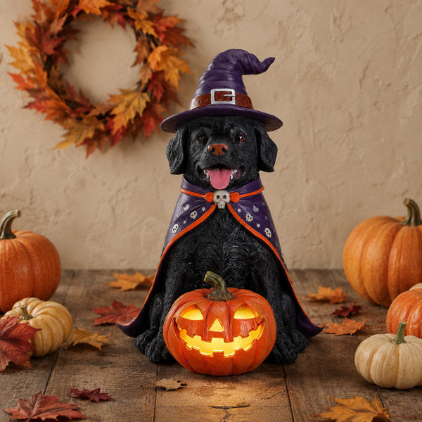 Lighted Resin Halloween Black Dog Floor Decorative Accent with Jack-O'-Lantern for Covered Porch and Entryway